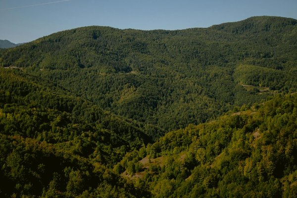 Maîtriser la Gestion des Risques Industriels : Le Guide Ultime pour Votre Formation Essentielle